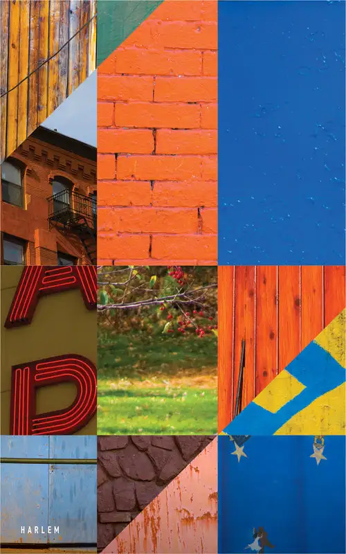 Harlem color study
