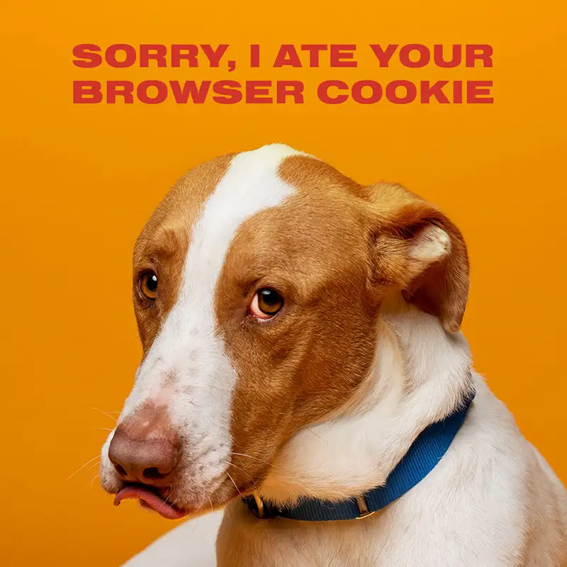 Austin Humane Society Web Companions dog Cooper ad