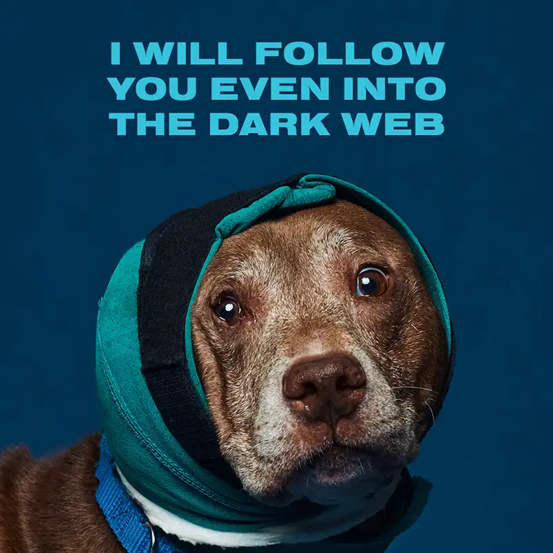Austin Humane Society Web Companions dog Jasper ad