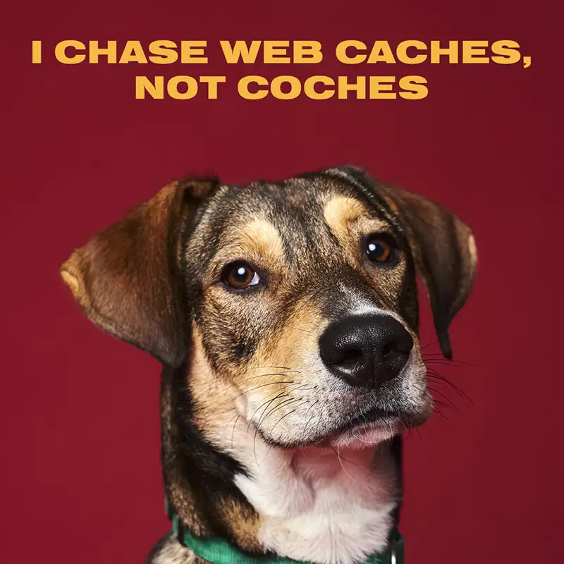 Austin Humane Society Web Companions dog Joey ad
