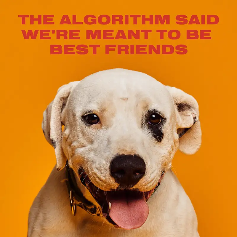 Austin Humane Society Web Companions dog Zeus ad